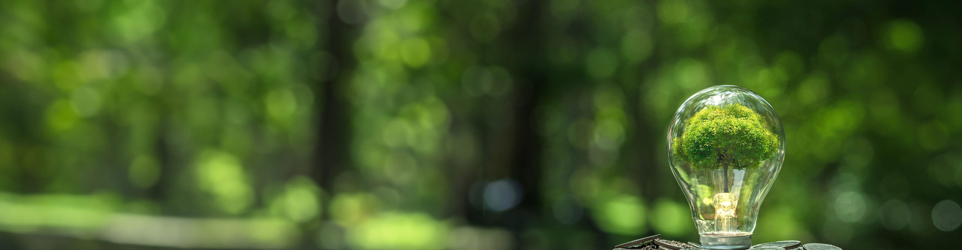 Sustainable Finance