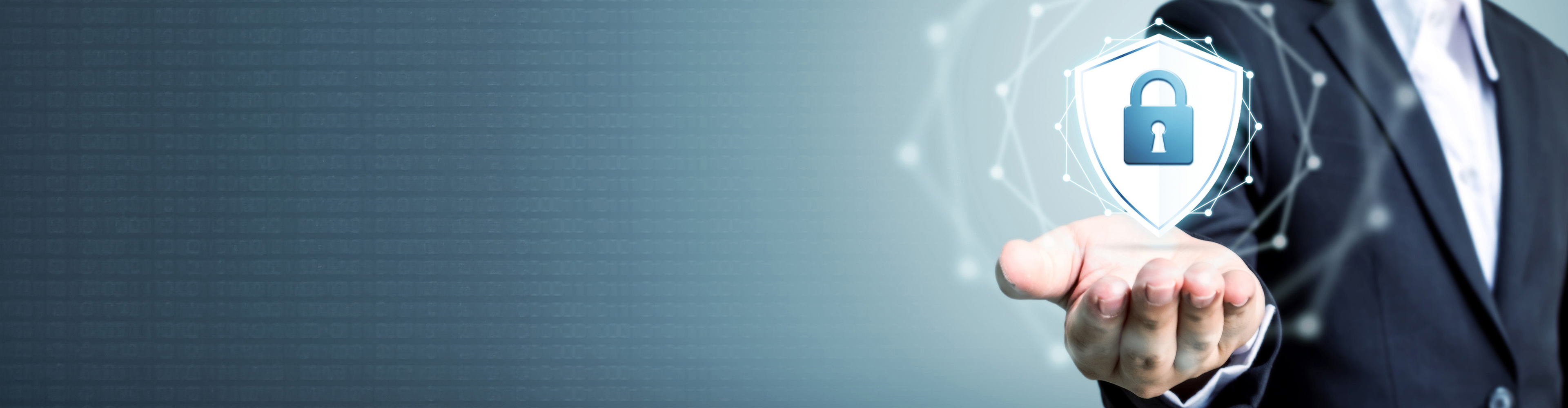 Risk Management and Audit System