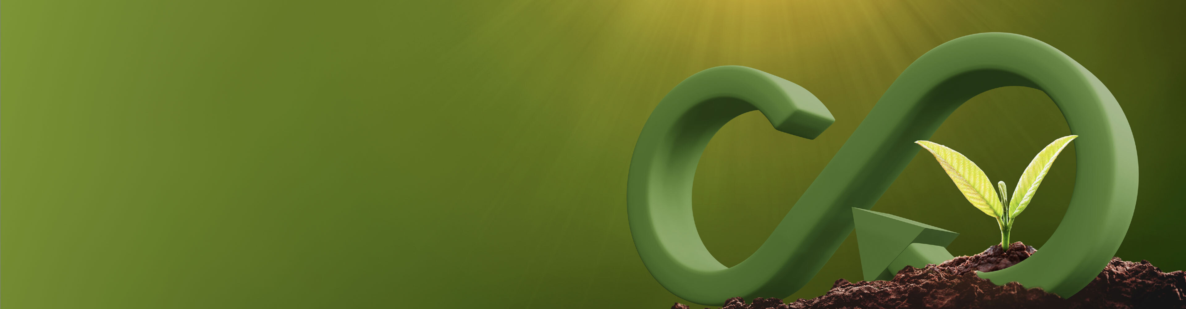 Sustainable Initiative and Assessment